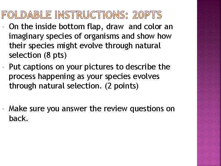  On the inside bottom flap, draw and color an imaginary species of organisms