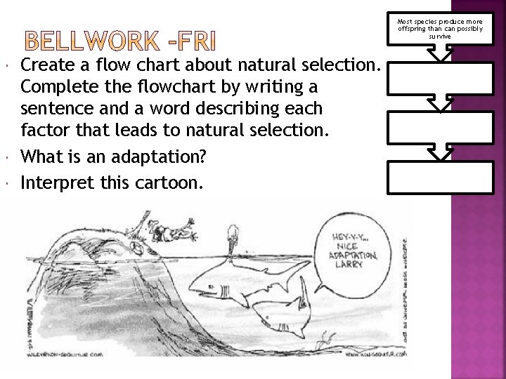 Most species produce more offspring than can possibly survive Create a flow chart about