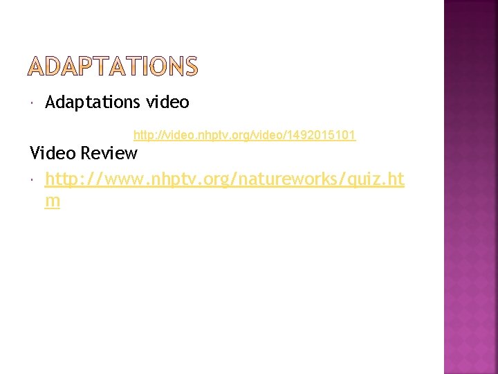 Adaptations video http: //video. nhptv. org/video/1492015101 Video Review http: //www. nhptv. org/natureworks/quiz. ht