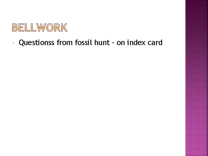  Questionss from fossil hunt – on index card 