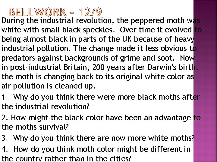 During the industrial revolution, the peppered moth was white with small black speckles. Over