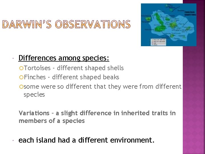  Differences among species: Tortoises – different shaped shells Finches – different shaped beaks