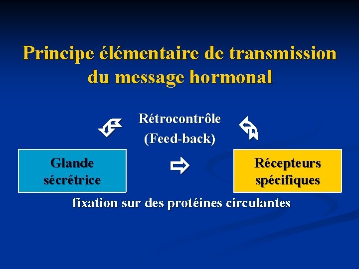 Principe élémentaire de transmission du message hormonal Glande sécrétrice Rétrocontrôle (Feed-back) Récepteurs spécifiques fixation
