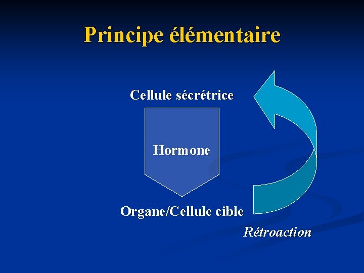 Principe élémentaire Cellule sécrétrice Hormone Organe/Cellule cible Rétroaction 