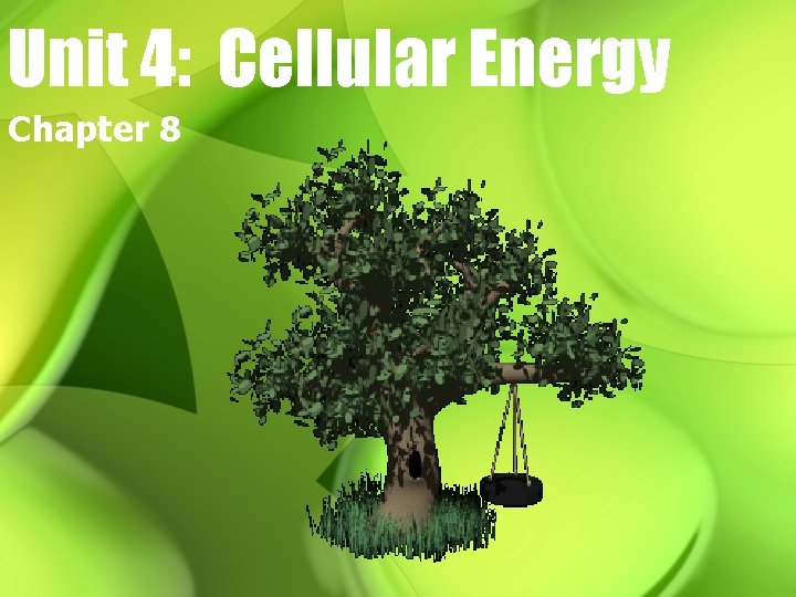 Unit 4: Cellular Energy Chapter 8 