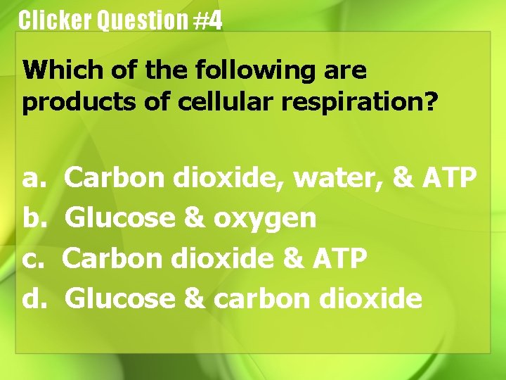 Clicker Question #4 Which of the following are products of cellular respiration? a. b.