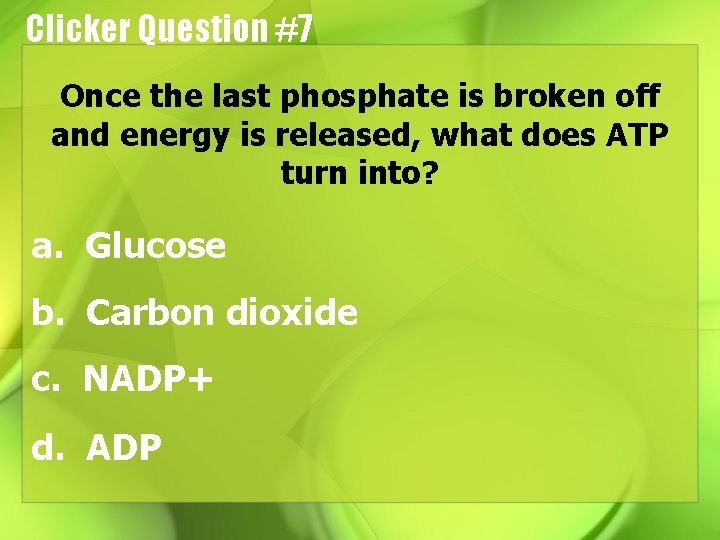 Clicker Question #7 Once the last phosphate is broken off and energy is released,