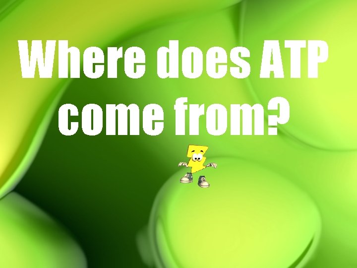 Where does ATP come from? 