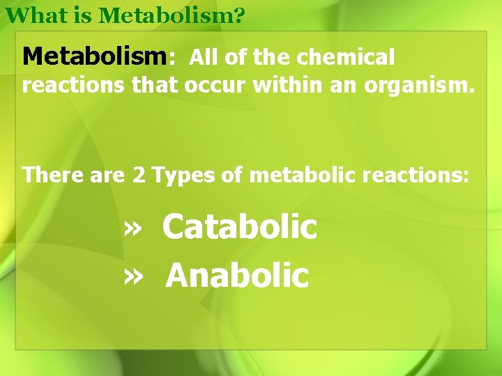 What is Metabolism? Metabolism: All of the chemical reactions that occur within an organism.