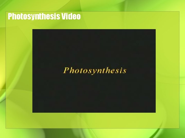 Photosynthesis Video 