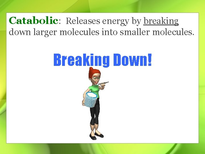 Catabolic: Releases energy by breaking down larger molecules into smaller molecules. Breaking Down! 