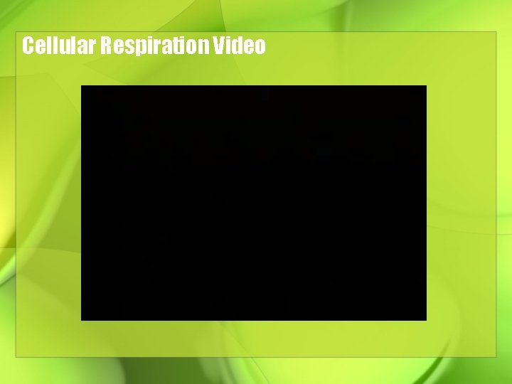 Cellular Respiration Video 