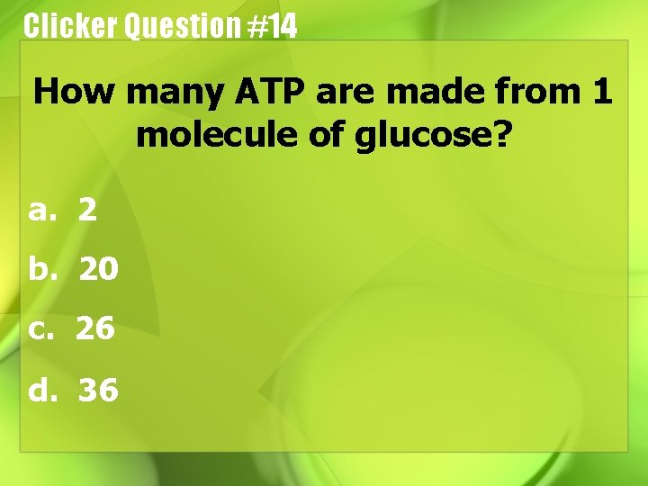 Clicker Question #14 How many ATP are made from 1 molecule of glucose? a.