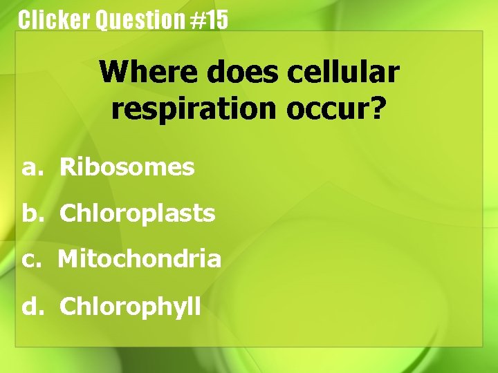 Clicker Question #15 Where does cellular respiration occur? a. Ribosomes b. Chloroplasts c. Mitochondria