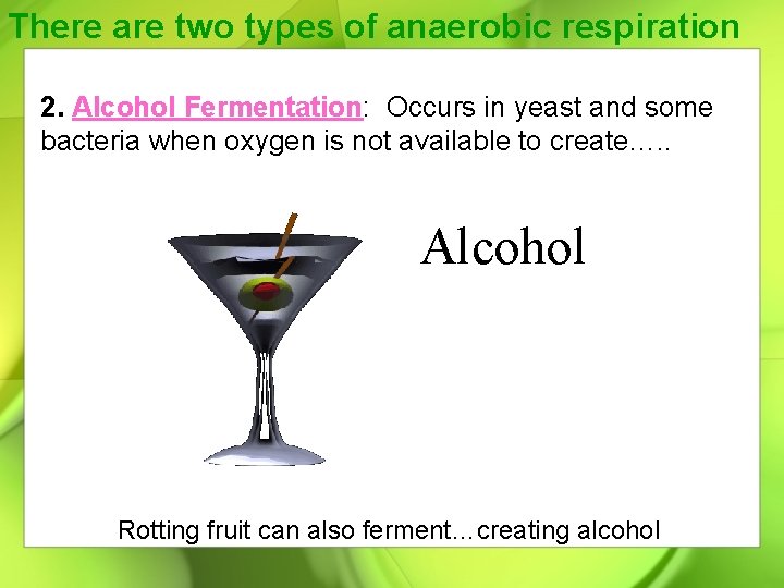 There are two types of anaerobic respiration 2. Alcohol Fermentation: Occurs in yeast and