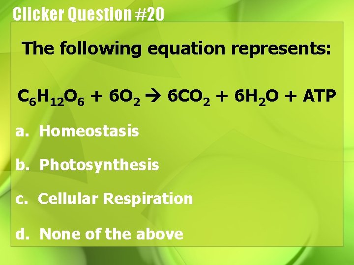Clicker Question #20 The following equation represents: C 6 H 12 O 6 +