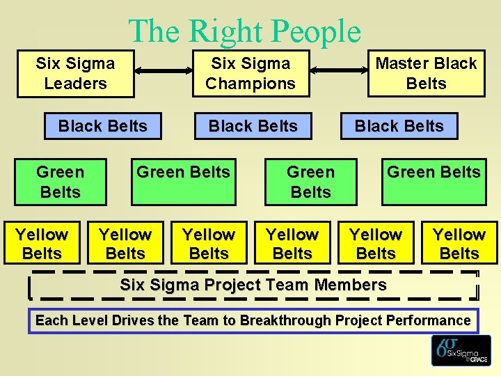 The Right People Six Sigma Champions Six Sigma Leaders Black Belts Green Belts Yellow