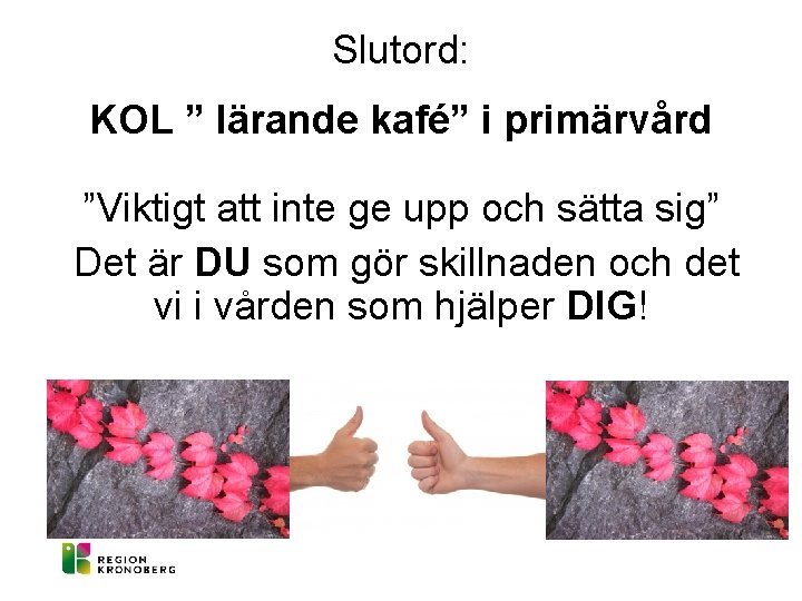 Slutord: KOL ” lärande kafé” i primärvård ”Viktigt att inte ge upp och sätta