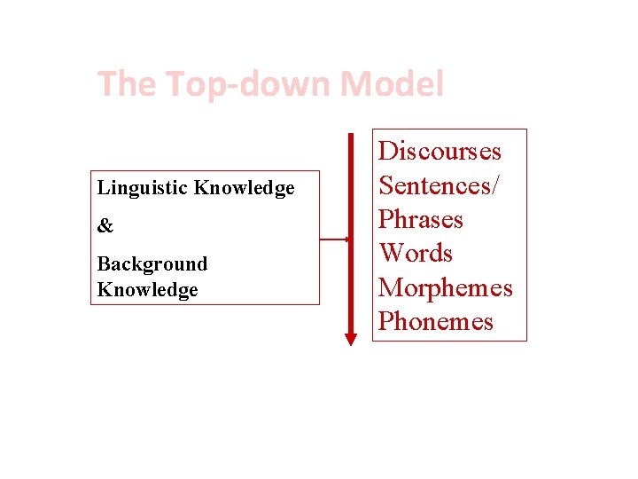 The Top-down Model Linguistic Knowledge & Background Knowledge Discourses Sentences/ Phrases Words Morphemes Phonemes