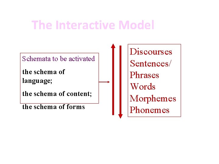 The Interactive Model Schemata to be activated the schema of language; the schema of