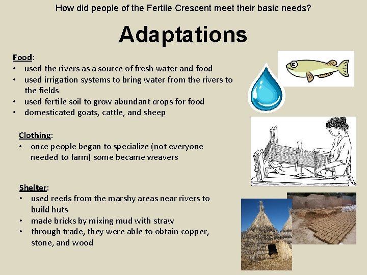 How did people of the Fertile Crescent meet their basic needs? Adaptations Food: •