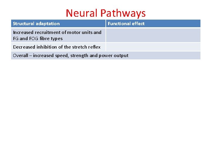 Neural Pathways Structural adaptation Functional effect Increased recruitment of motor units and FG and