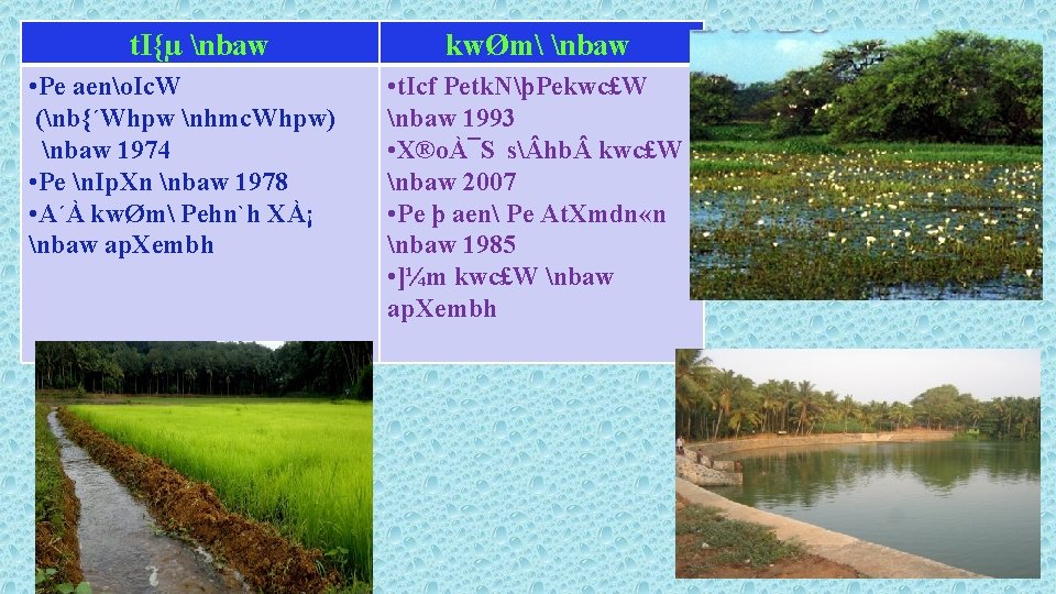 Pew Kmaqly Kzv Aeno Ic Ww Zpcptbm Kw