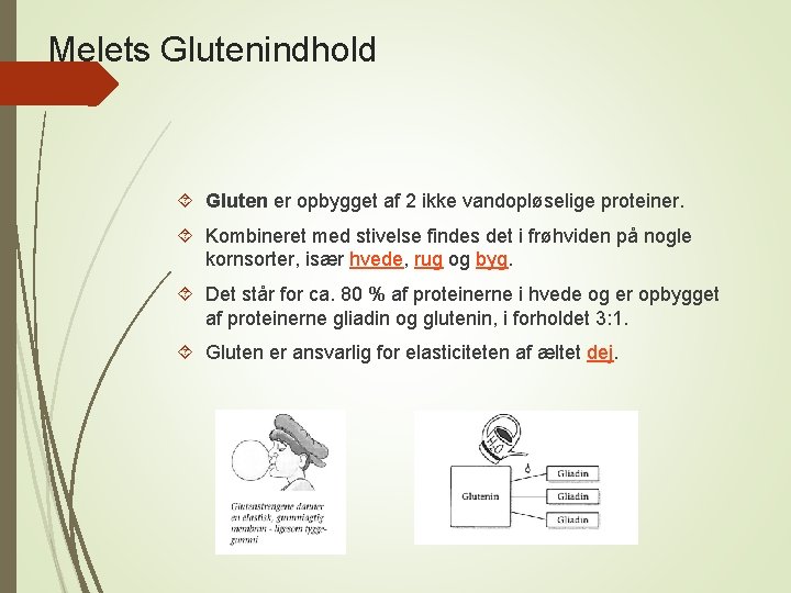 Melets Glutenindhold Gluten er opbygget af 2 ikke vandopløselige proteiner. Kombineret med stivelse findes