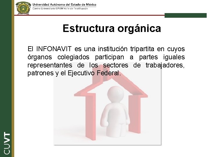 Estructura orgánica El INFONAVIT es una institución tripartita en cuyos órganos colegiados participan a