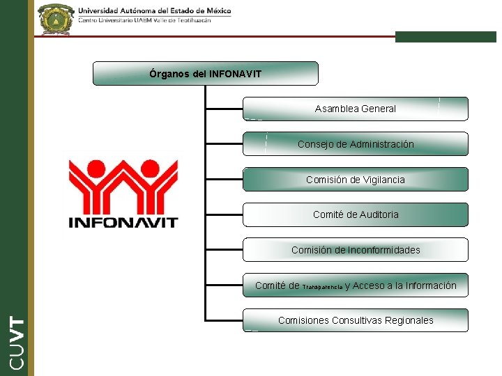 Órganos del INFONAVIT Asamblea General Consejo de Administración Comisión de Vigilancia Comité de Auditoria