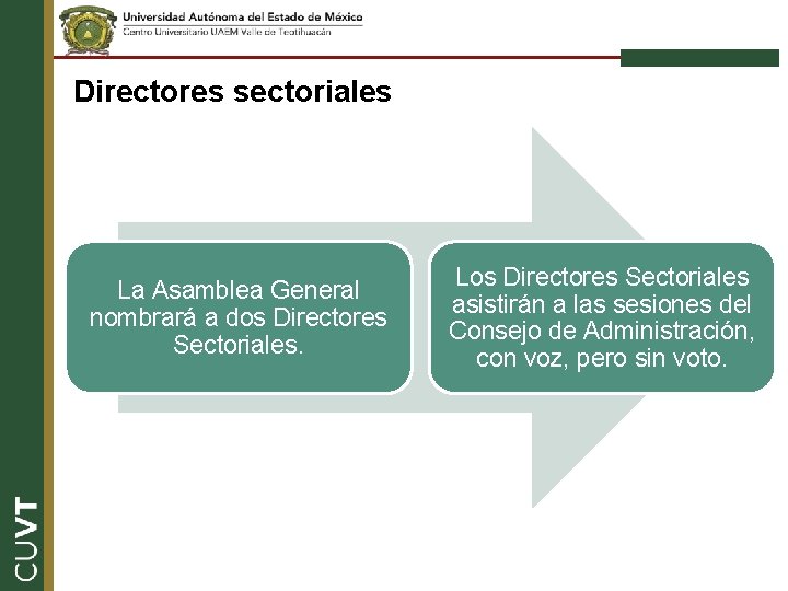 Directores sectoriales La Asamblea General nombrará a dos Directores Sectoriales. Los Directores Sectoriales asistirán