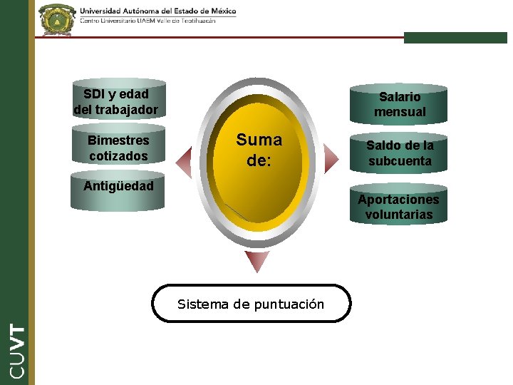 SDI y edad del trabajador Bimestres cotizados Salario mensual Suma de: Antigüedad Saldo de