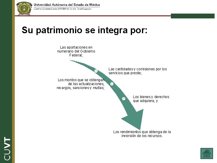 Su patrimonio se integra por: Las aportaciones en numerario del Gobierno Federal; Las cantidades