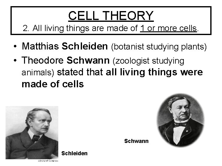 CELL THEORY 2. All living things are made of 1 or more cells. • CELL THEORY 2. All living things are made of 1 or more cells. •