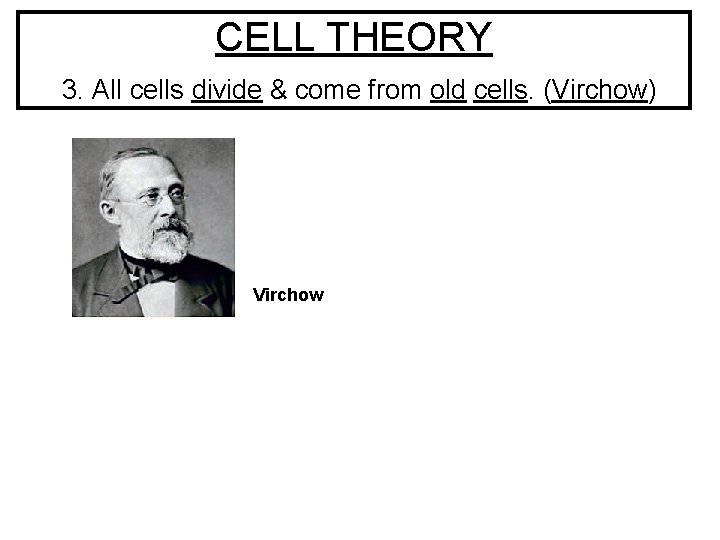 CELL THEORY 3. All cells divide & come from old cells. (Virchow) Virchow CELL THEORY 3. All cells divide & come from old cells. (Virchow) Virchow
