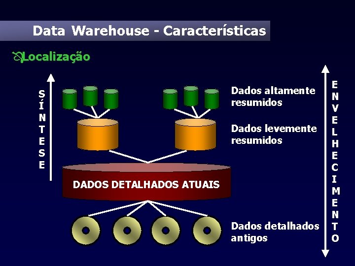 Data Warehouse - Características ÔLocalização Dados altamente resumidos S Í N T E S