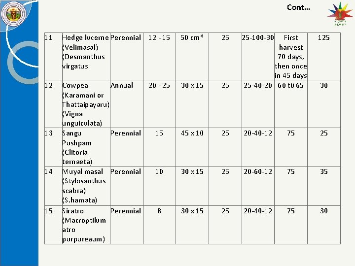 Cont… 11 Hedge lucerne Perennial 12 - 15 (Velimasal) (Desmanthus virgatus 50 cm* 25