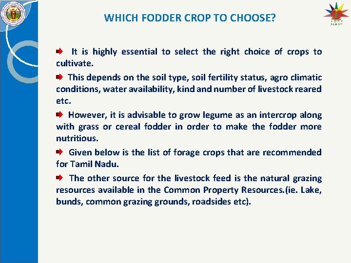 WHICH FODDER CROP TO CHOOSE? It is highly essential to select the right choice