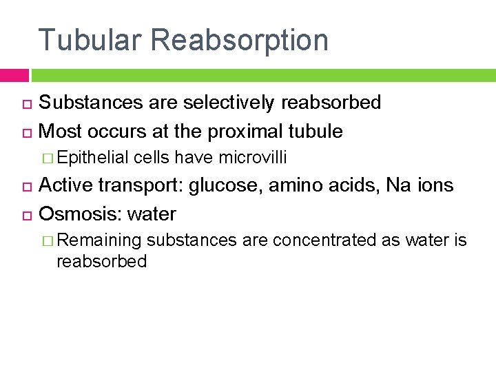 Tubular Reabsorption Substances are selectively reabsorbed Most occurs at the proximal tubule � Epithelial