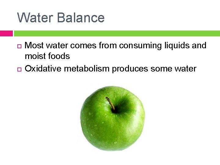 Water Balance Most water comes from consuming liquids and moist foods Oxidative metabolism produces