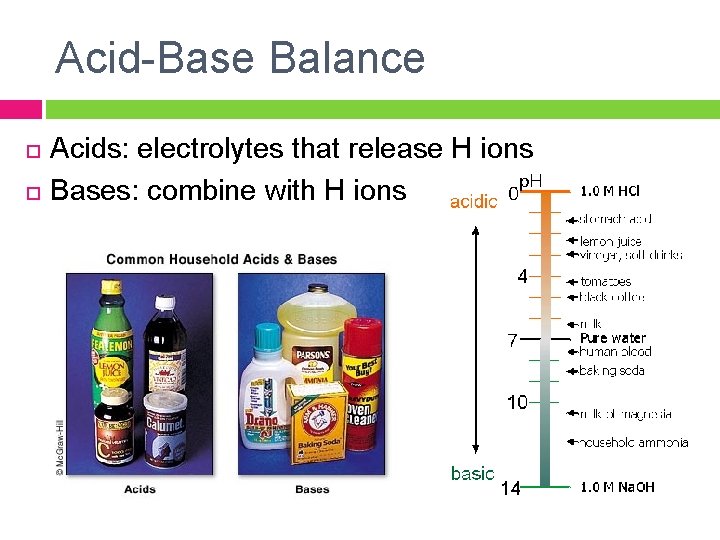 Acid-Base Balance Acids: electrolytes that release H ions Bases: combine with H ions 