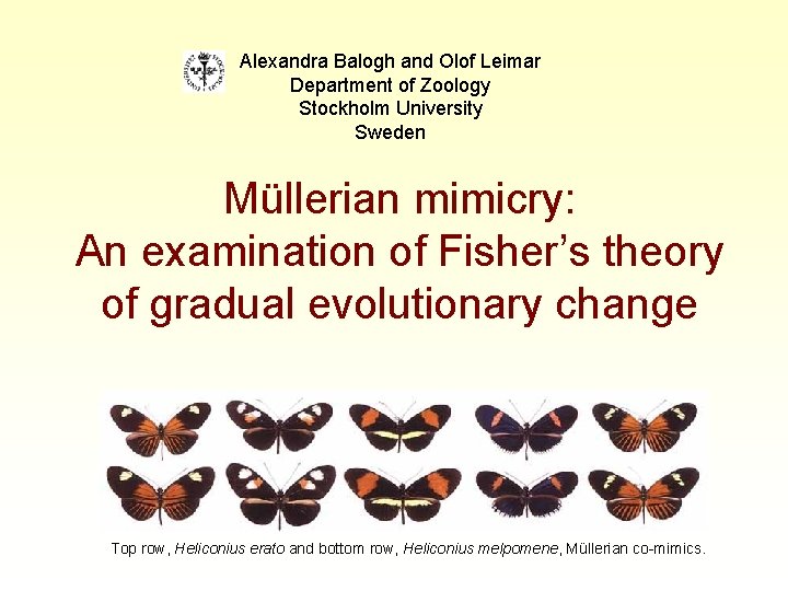 Alexandra Balogh and Olof Leimar Department of Zoology Stockholm University Sweden Müllerian mimicry: An