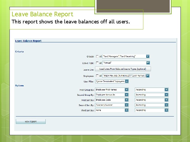 Leave Balance Report This report shows the leave balances off all users. 