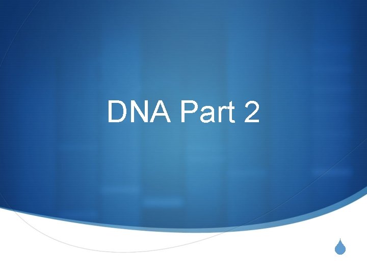 DNA Part 2 S 