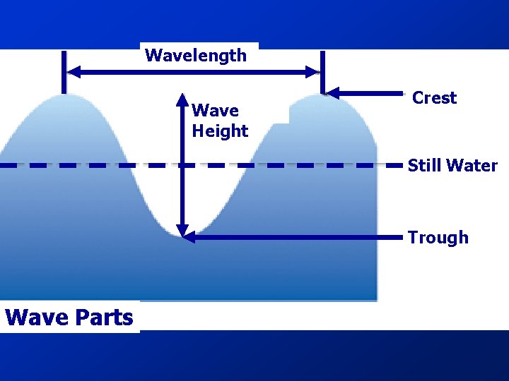 Wavelength Wave Height Crest Still Water Trough Wave Parts 