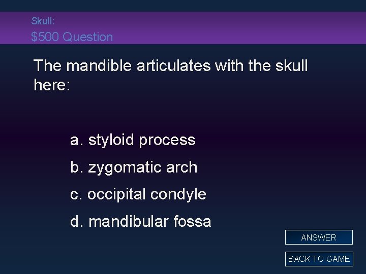 Skull: $500 Question The mandible articulates with the skull here: a. styloid process b.