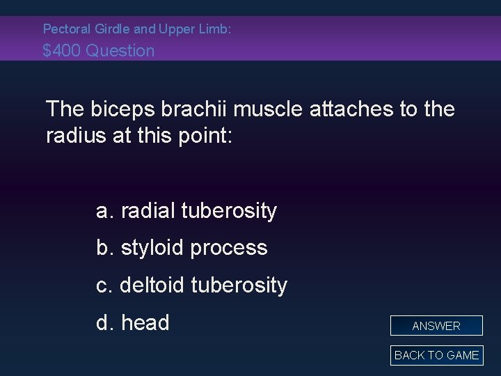 Pectoral Girdle and Upper Limb: $400 Question The biceps brachii muscle attaches to the