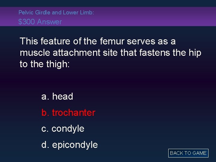 Pelvic Girdle and Lower Limb: $300 Answer This feature of the femur serves as