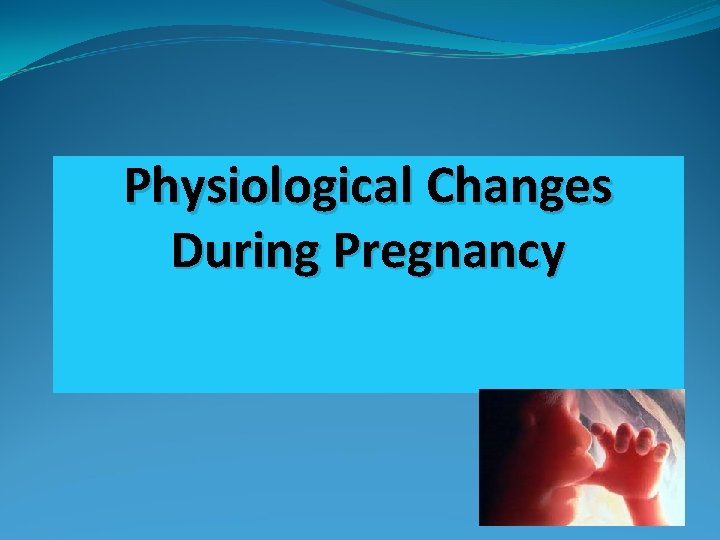 Physiological Changes During Pregnancy 