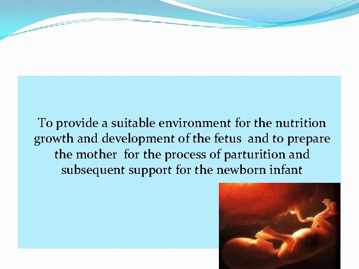 To provide a suitable environment for the nutrition growth and development of the fetus